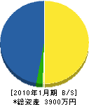 齋藤塗装店 貸借対照表 2010年1月期