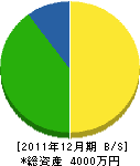 豊電気商会 貸借対照表 2011年12月期 豊電気商会 貸借対照表 2011年12月期