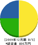村井建築 貸借対照表 2009年12月期