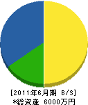 三明電気 貸借対照表 2011年6月期