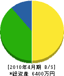 東信開発 貸借対照表 2010年4月期