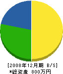松之園 貸借対照表 2008年12月期