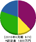 矢島電気商会 貸借対照表 2010年6月期