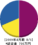 松浦興建設 貸借対照表 2009年4月期