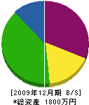 鈴木電気工業所 貸借対照表 2009年12月期
