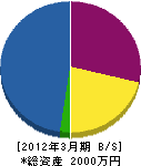 金澤塗装 貸借対照表 2012年3月期