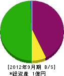川中ハウス 貸借対照表 2012年9月期