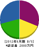 坂井建設 貸借対照表 2012年6月期