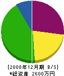 梅川工務店 貸借対照表 2008年12月期