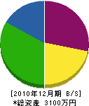 田辺建設 貸借対照表 2010年12月期