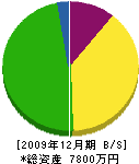 原田鑿泉探鉱 貸借対照表 2009年12月期