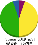 石井畳商店 貸借対照表 2009年12月期