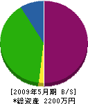 高橋貞畳工業 貸借対照表 2009年5月期