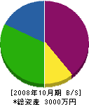 小松電機商会 貸借対照表 2008年10月期