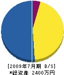 前田建設 貸借対照表 2009年7月期