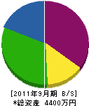 ヒラム工房 貸借対照表 2011年9月期