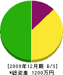 吉田組 貸借対照表 2009年12月期