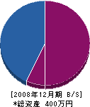 徳江電気工業所 貸借対照表 2008年12月期