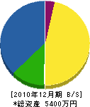 増田建設 貸借対照表 2010年12月期