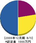 沢藤土木 貸借対照表 2008年12月期