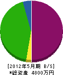 佐野建設 貸借対照表 2012年5月期