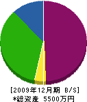 幸田製畳所 貸借対照表 2009年12月期