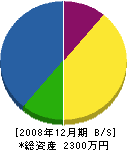 藤原電工 貸借対照表 2008年12月期