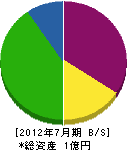 矢代法師園 貸借対照表 2012年7月期