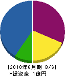 阪南土木工業 貸借対照表 2010年6月期