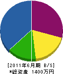 平松園 貸借対照表 2011年6月期