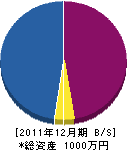 藤井塗装工業所 貸借対照表 2011年12月期