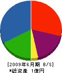 鈴木建設 貸借対照表 2009年6月期