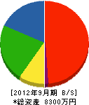 戸田組 貸借対照表 2012年9月期