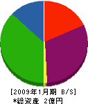 川俣組 貸借対照表 2009年1月期