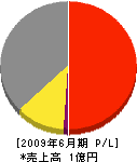 日本興建 損益計算書 2009年6月期