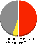 野田工業 損益計算書 2009年12月期