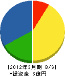 京都通信特機 貸借対照表 2012年3月期