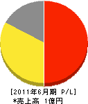 田上総業 損益計算書 2011年6月期