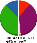 ヤマダ地所 貸借対照表 2009年11月期