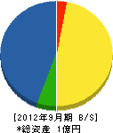 北崎産業 貸借対照表 2012年9月期