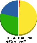 湘北工亊 貸借対照表 2012年6月期