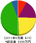 笹屋興業 貸借対照表 2011年6月期