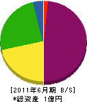 斉藤電気商会 貸借対照表 2011年6月期