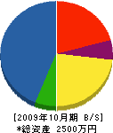功桂建設 貸借対照表 2009年10月期