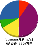 平田塗装工業 貸借対照表 2009年9月期