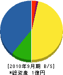 矢野組 貸借対照表 2010年9月期