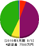 松信建設 貸借対照表 2010年6月期