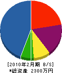 田中電気 貸借対照表 2010年2月期