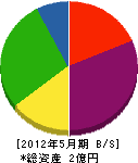 津田組 貸借対照表 2012年5月期