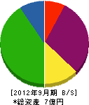 矢島建材 貸借対照表 2012年9月期